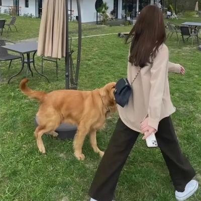 兰若行者